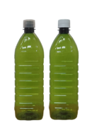 Botella PET 1 Litro Cuadrada Verde Oliva